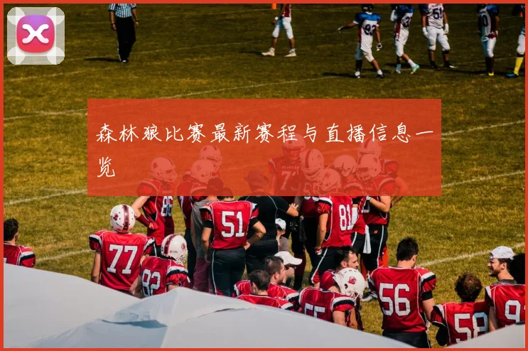 森林狼比赛最新赛程与直播信息一览